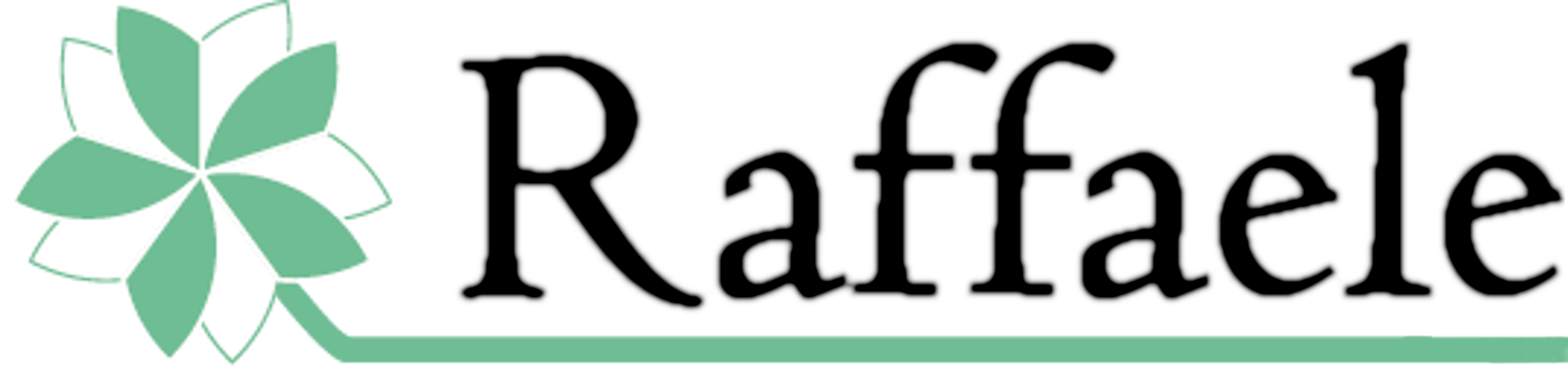 Raffaele srl Ingrosso Fioristi